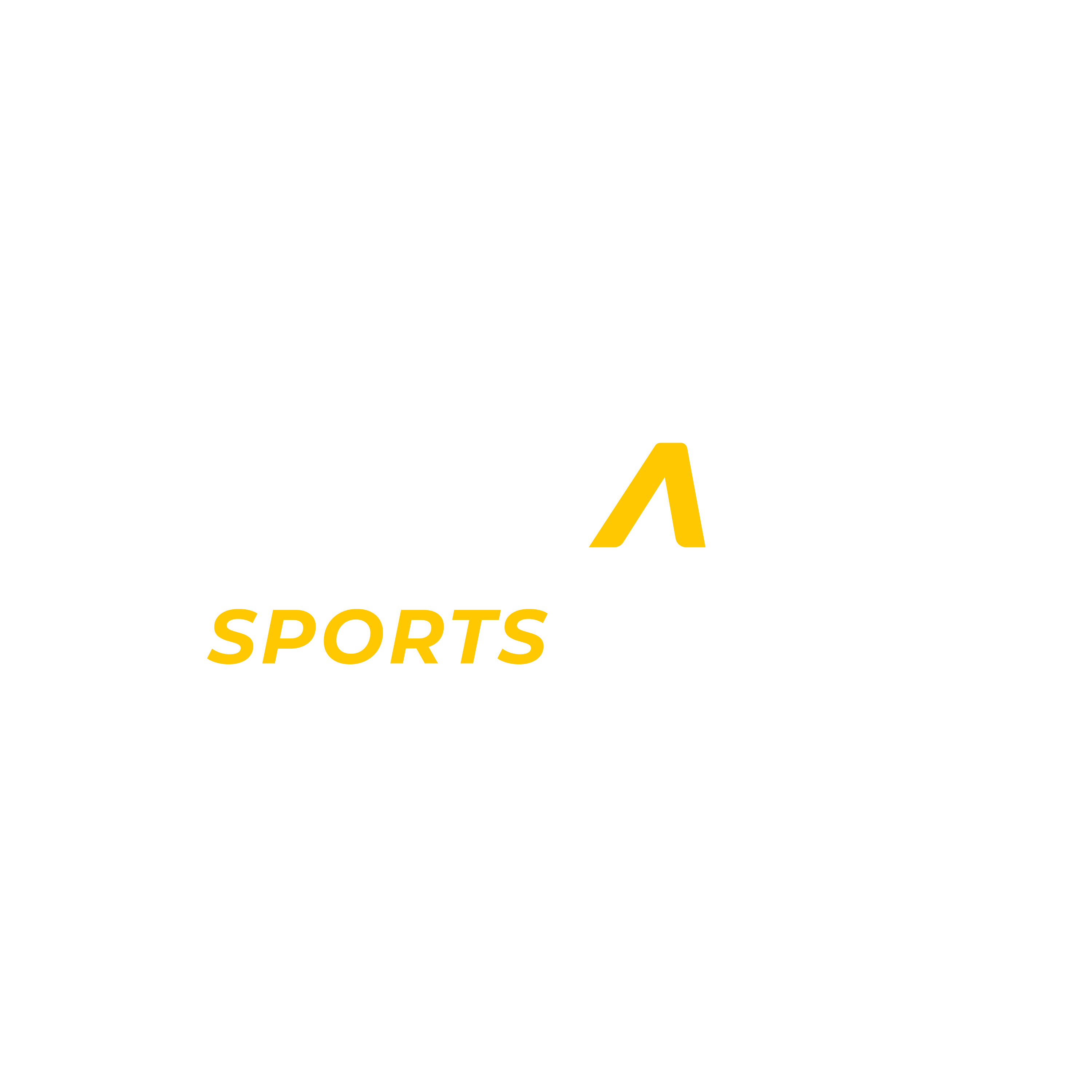 Sí, Viajo Sports